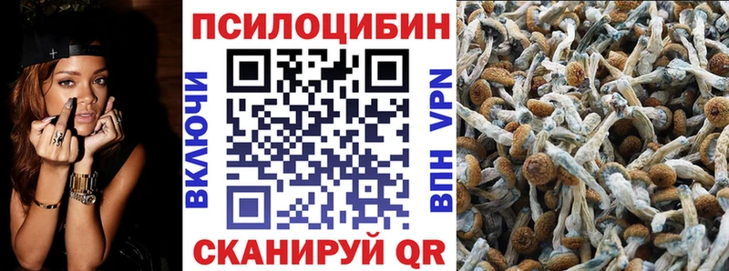 цены   Братск  Псилоцибиновые грибы Cubensis 