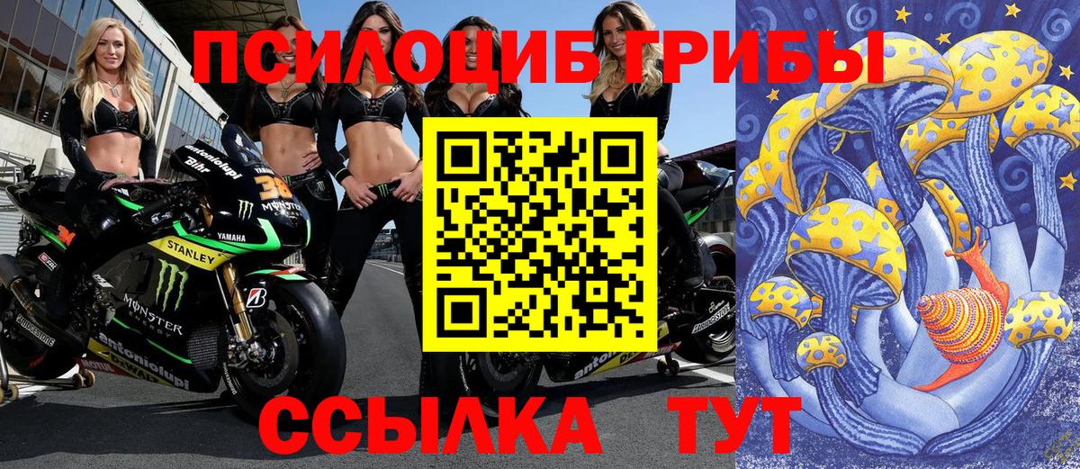 Меф   Братск  Вход с VPN  ГАШИШ  Каннабис 