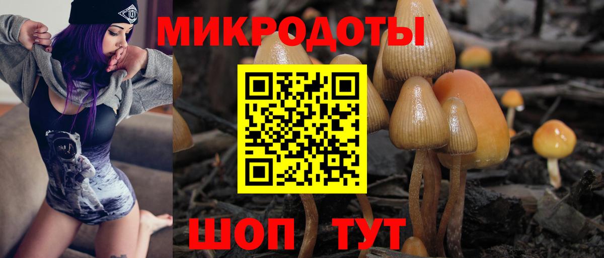 Псилоцибиновые грибы Psilocybe  Вход с VPN  Братск  Галлюциногенные грибы Psilocybe 
